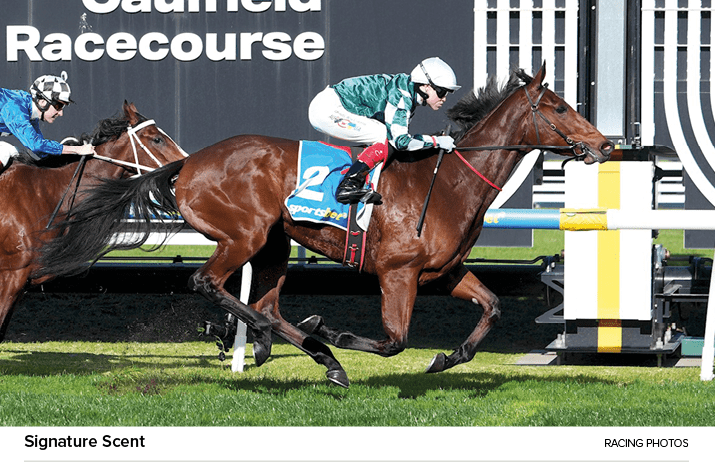 Signature Scent Racing Photo