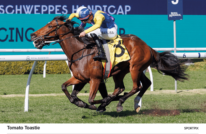 Tomato Toastie Sportpi