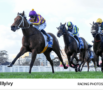 Illyivy racing photo