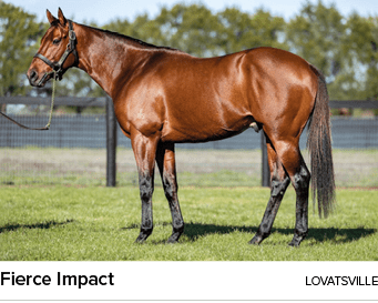 Fierce Impact Lovatsvill
