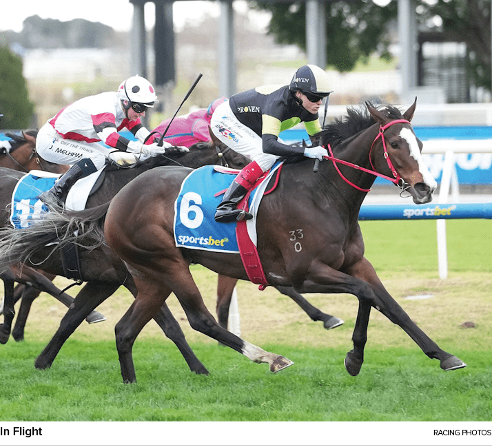 In Flight Racing Photo