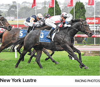 New York Lustre racing photo