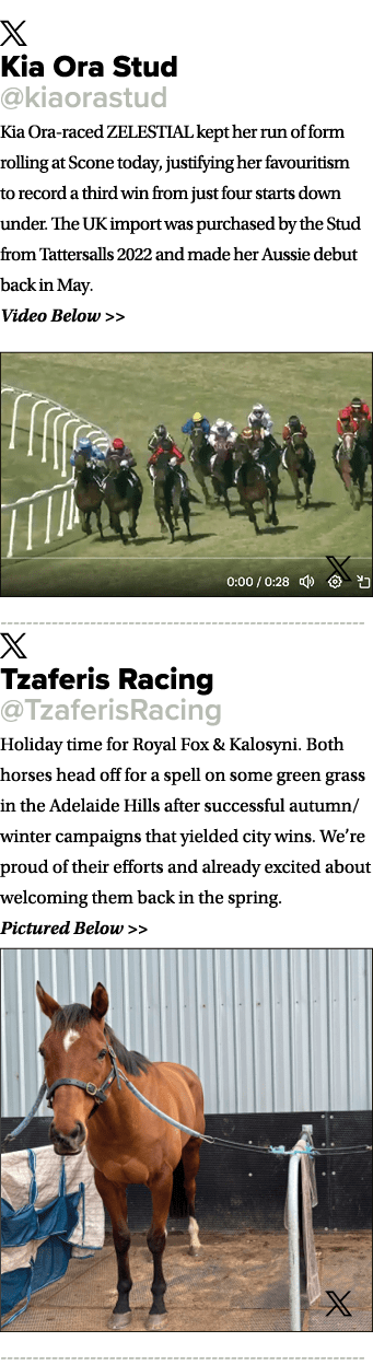￼ Kia Ora Stud @kiaorastud Kia Ora raced ZELESTIAL kept her run of form rolling at Scone today, justifying her favour...