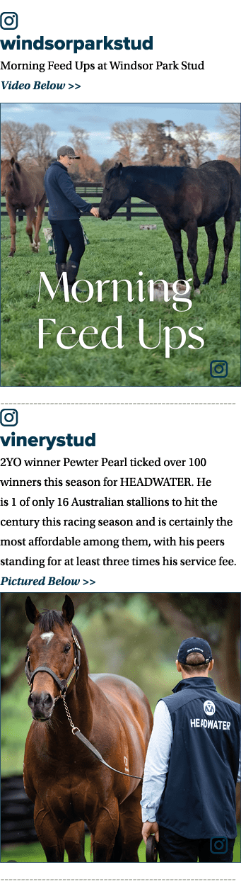 ￼ windsorparkstud Morning Feed Ups at Windsor Park Stud Video Below   ￼ ￼ vinerystud 2YO winner Pewter Pearl ticked ...
