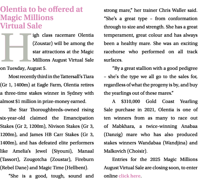 Olentia to be offered at Magic Millions Virtual Sale High class racemare Olentia (Zoustar) will be among the star att...