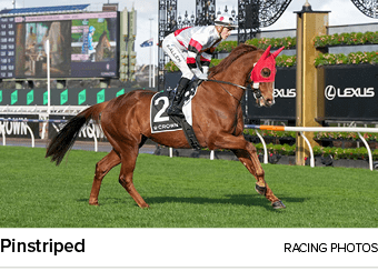 Pinstriped racing photo