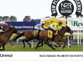 Urenui Race Images Palmerston Nort