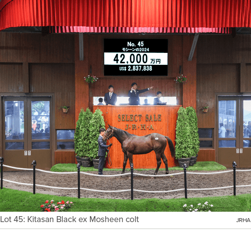 Lot 45: Kitasan Black ex Mosheen colt JRH