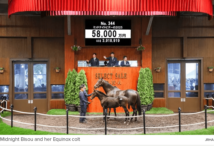 Midnight Bisou and her Equinox colt JRH