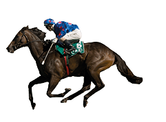 Hit The Road (Jay Ford, outside, blue jacket) wins at Randwick on 26/12/2005 - photo by Martin King / Sportpix - copyright