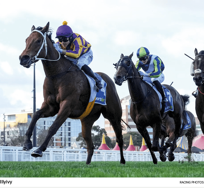 Illyivy racing photo