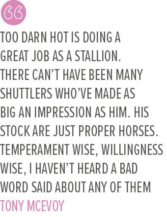 Too Darn Hot is doing a great job as a stallion. There can’t have been many shuttlers who’ve made as big an impressio...