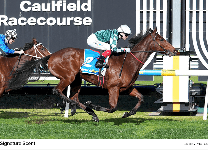 Signature Scent racing photo