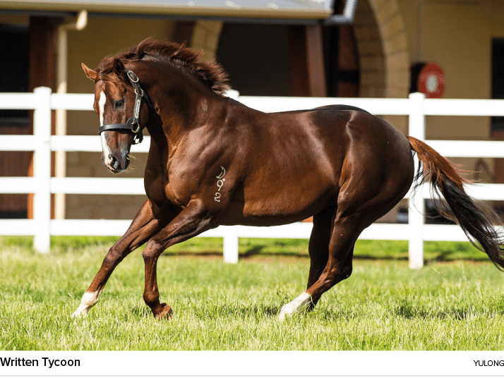 Written Tycoon YULON