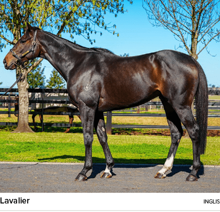 Lavalier Ingli