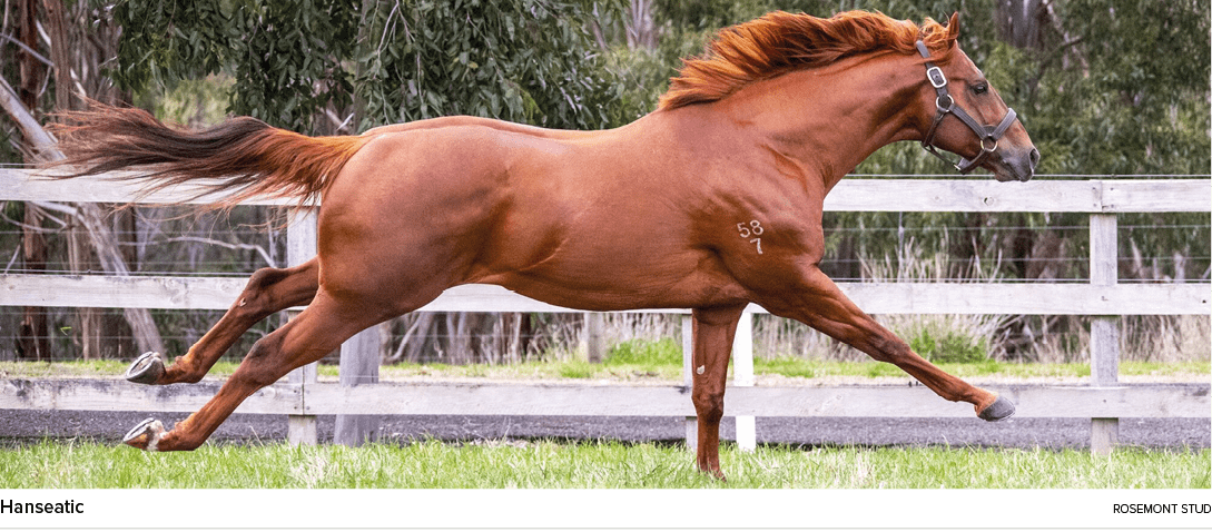 Hanseatic rosemont stu