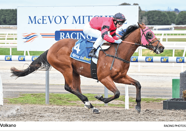 Volkano racing photo