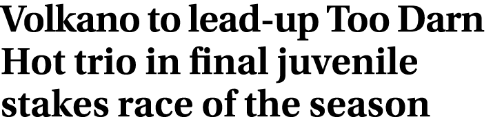 Volkano to lead up Too Darn Hot trio in final juvenile stakes race of the season