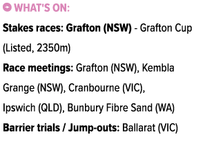 ￼ What's on: Stakes races: Grafton (NSW) Grafton Cup (Listed, 2350m) Race meetings: Grafton (NSW), Kembla Grange (NSW...