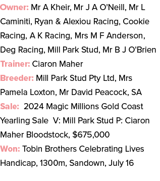 Owner: Mr A Kheir, Mr J A O'Neill, Mr L Caminiti, Ryan & Alexiou Racing, Cookie Racing, A K Racing, Mrs M F Anderson,...