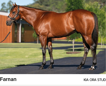 Farnan kia ora stu