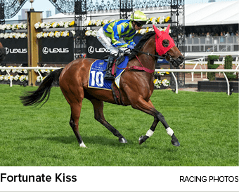 Fortunate Kiss racing photo