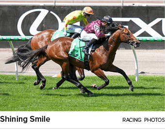 Shining Smile racing photo