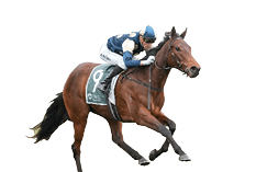 Exit ridden by Blake Shinn wins the Tobin Brothers Celebrating Lives Handicap at Sportsbet Sandown Hillside Racecourse on July 16, 2025 in Springvale, Australia. (Photo by Scott Barbour/Racing Photos)