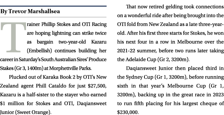 ￼ Trainer Phillip Stokes and OTI Racing are hoping lightning can strike twice as bargain two year old Kazaru (Embelli...