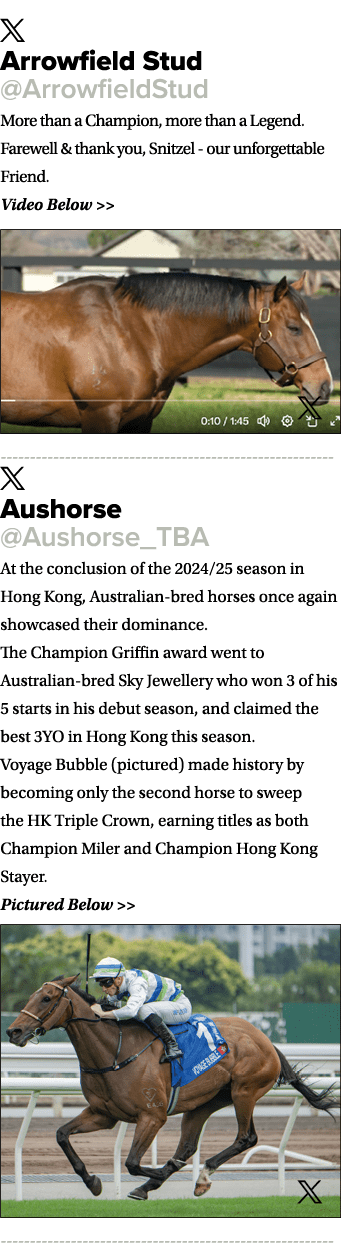 ￼ Arrowfield Stud @ArrowfieldStud More than a Champion, more than a Legend. Farewell & thank you, Snitzel our unforge...