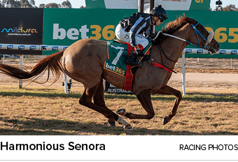 Harmonious Senora Racing Photo