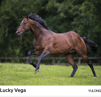 Lucky Vega Yulon