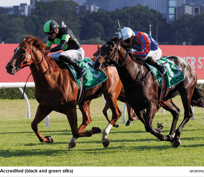 Accredited (black and green silks) sportpi
