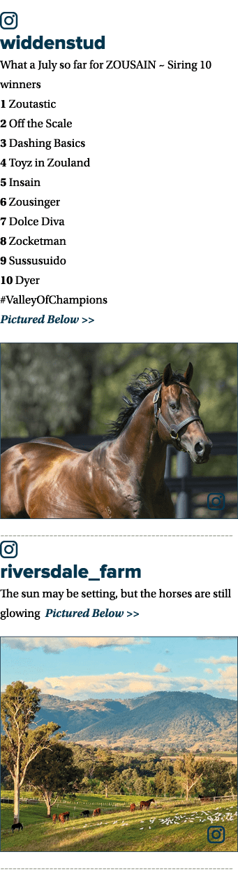 ￼ widdenstud What a July so far for ️ZOUSAIN️ ️~ Siring 10 winners 1 Zoutastic 2 Off the Scale 3 Dashing Basics 4 Toy...