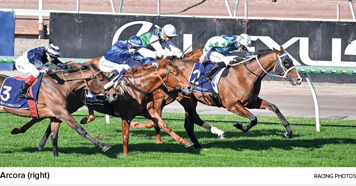 Arcora (right) racing photo