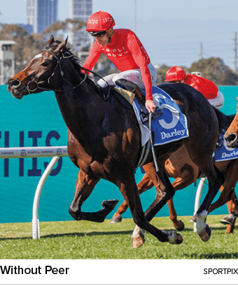 Without Peer sportpi