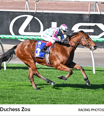 Duchess Zou racing photo