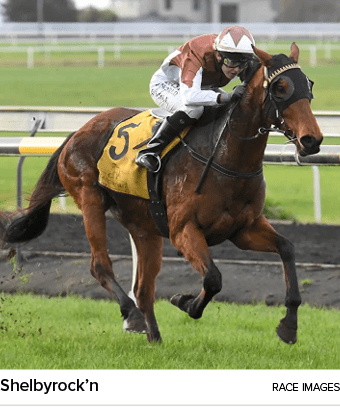 Shelbyrock’n Race Image