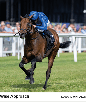 Wise Approach Edward Whitake