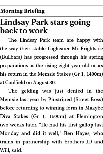  ￼ Lindsay Park stars going back to work The Lindsay Park team are happy with the way their stable flagbearer Mr Brig...