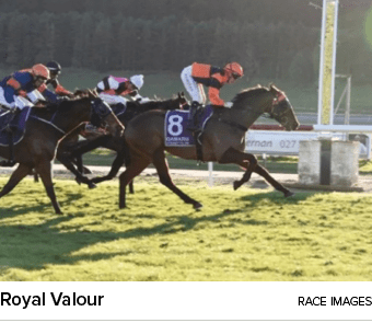 Royal Valour Race Image