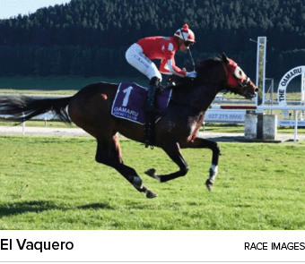 El Vaquero Race Image