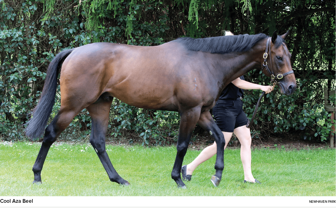 Cool Aza Beel newhaven par