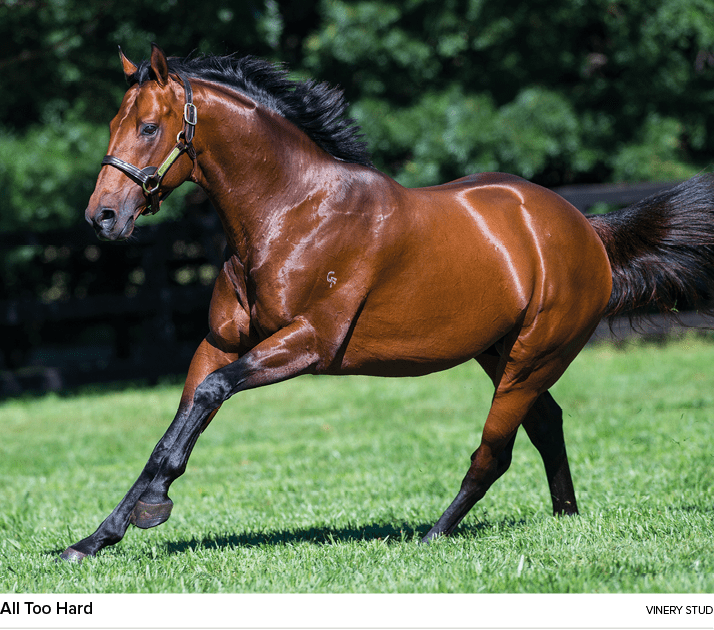 All Too Hard vinery STU