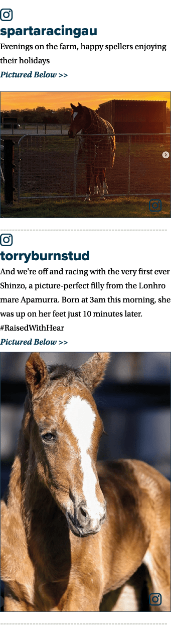 ￼ spartaracingau Evenings on the farm, happy spellers enjoying their holidays Pictured Below   ￼ ￼ torryburnstud And...