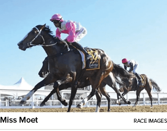 Miss Moet Race Image