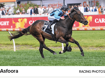 Asfoora racing photo