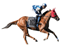 Jimmysstar (NZ) on the way to the barriers prior to the running of the 3 Point Motors William Reid Stakes at Moonee Valley Racecourse on March 22, 2025 in Moonee Ponds, Australia. (Photo by Scott Barbour/Racing Photos)