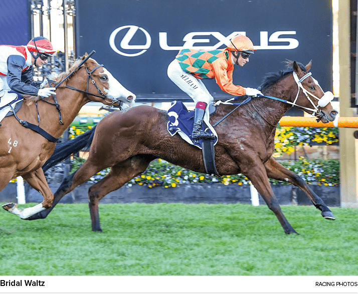 Bridal Waltz Racing Photo