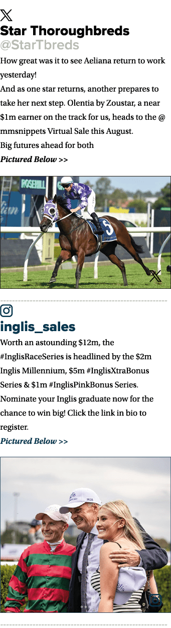 ￼ Star Thoroughbreds @StarTbreds How great was it to see Aeliana return to work yesterday! And as one star returns, a...